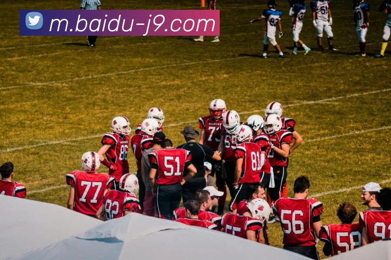 九游体育APP 高清赛事图